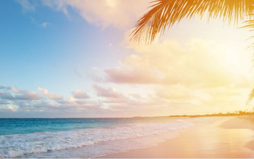 35 inspirerende Dau Voire-citater om succes